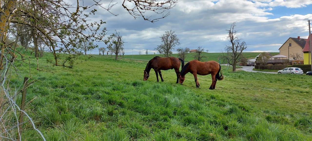 Schwalbennest Kaisitz Lägenhet Exteriör bild